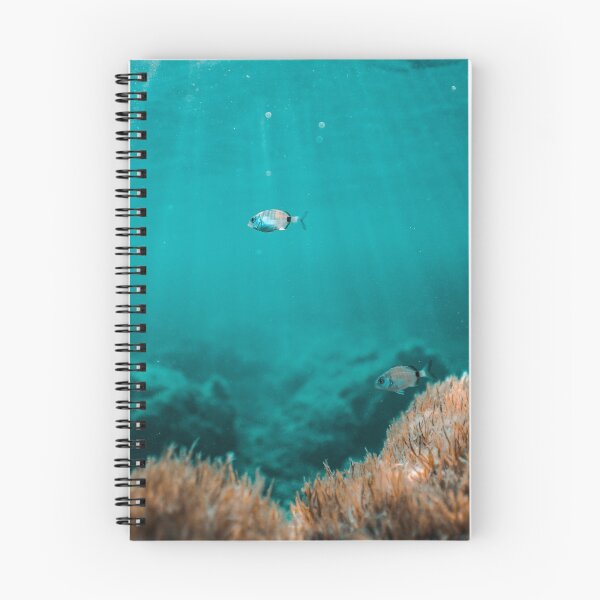 Item preview, MALLORCA - UNDERWATER PHOTOGRAPHY - FISH OF MALLORCA PHOTOGRAPHER: PUROSUP.COM designed and sold by Tropical Blood.