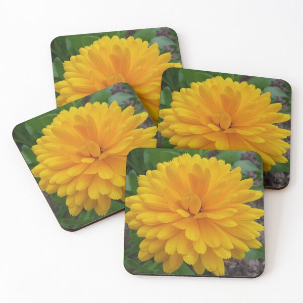 Item preview, Sunshine designed and sold by Fara.