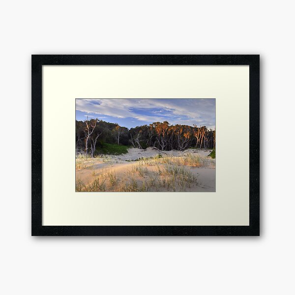 Item preview, Advancing Dunes designed and sold by Terry Everson.