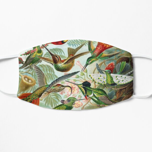 Hummingbirds - The Bright Jewels of the Bird World Mask