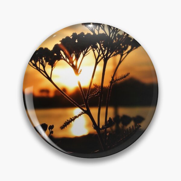 Pin Button