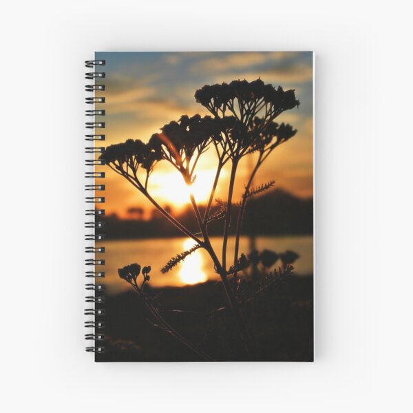 Spiral Notebook
