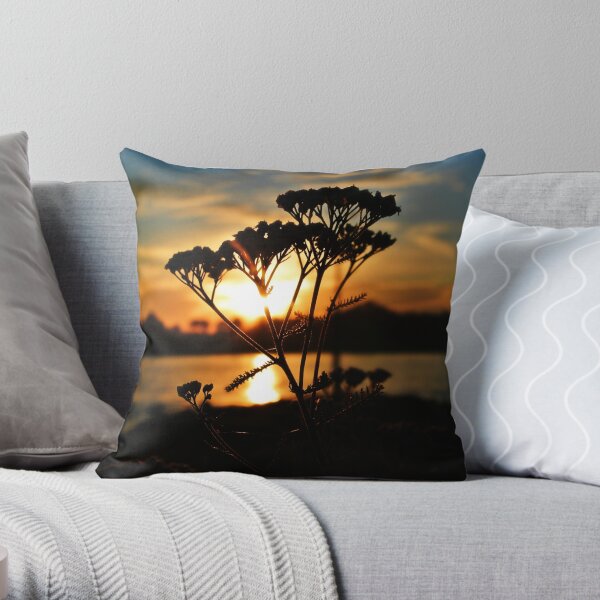 Throw Pillow