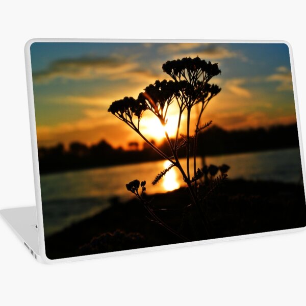 Macbook Air 13" (2015)