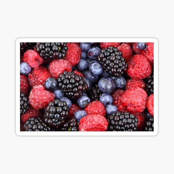 Fruits raspberries blueberries blackberries  Sticker