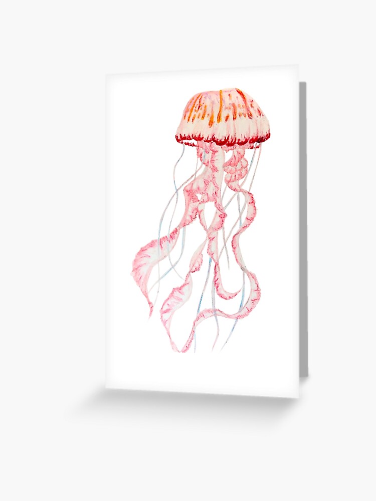 Carte De Vœux Dessin Aquarelle De Meduses Par Greatplainswolf Redbubble