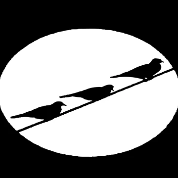 Vorschaubild zum Design PIGEONS von ROPATROKOLA