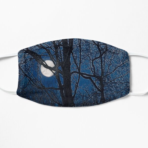NJ
12.21.10
! http: //ih1.redbubble.net/work.6474844.1.papergc Flache Maske