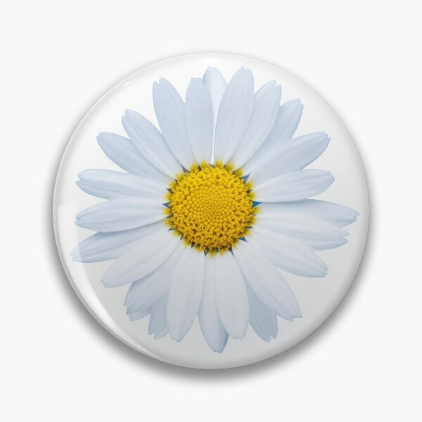 Item preview, Isolated white daisy flower, with bright yellow middle designed and sold by Phillip Thornton.