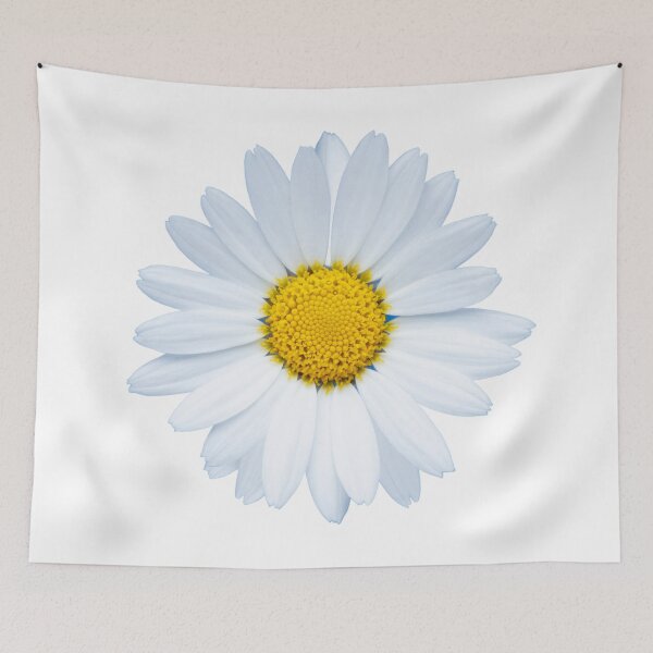 Item preview, Isolated white daisy flower, with bright yellow middle designed and sold by Phillip Thornton.