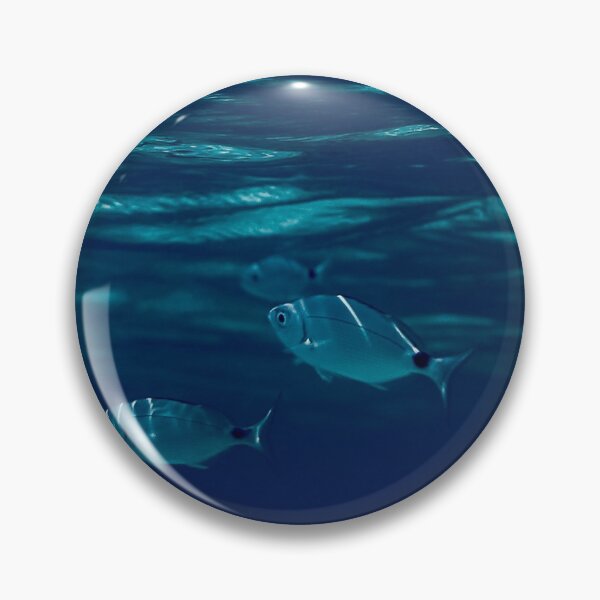 Artikelvorschau, PROFESSIONAL PHOTO - UNDERWATER MALLORCA FISH entworfen und verkauft von Tropical Blood.