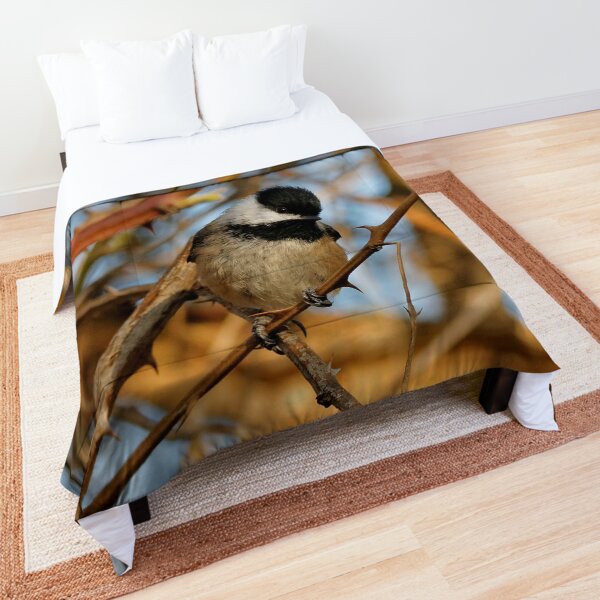 A Curious Black-Capped Chickadee in the Forest Comforter