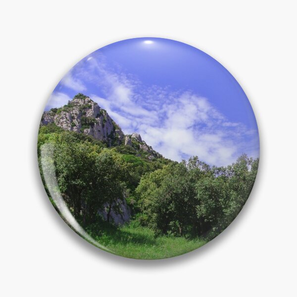 Pin Button