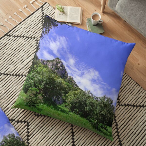 Floor Pillow