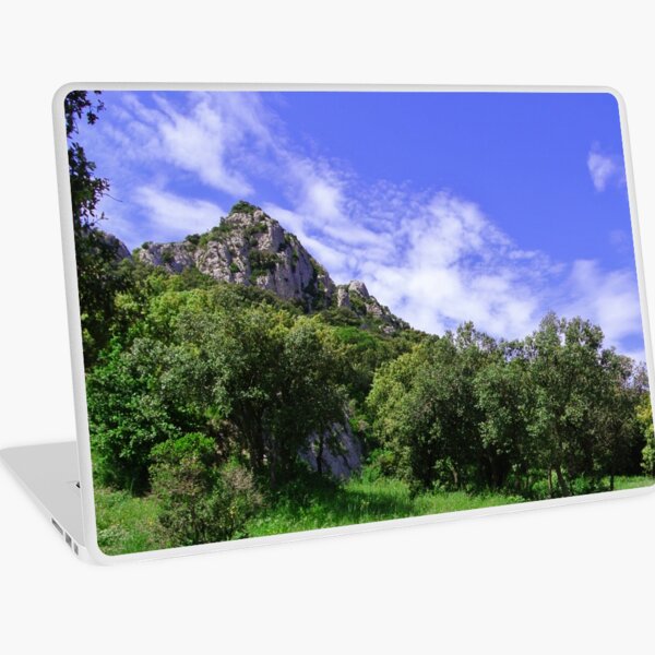 Macbook Air 13" (2015)
