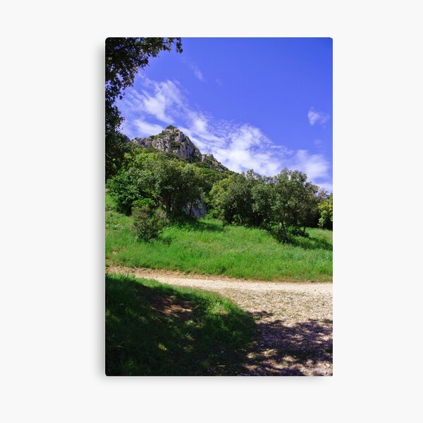 Canvas Print