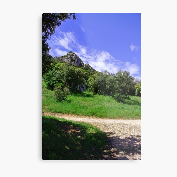 Metal Print
