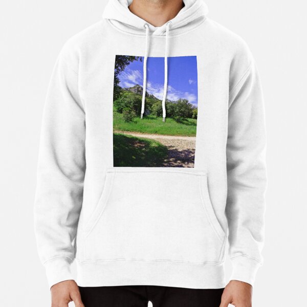 Hoodie (Pullover)