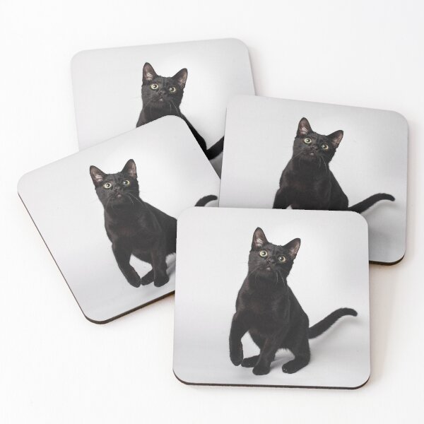 Item preview, In studio portrait of an adorable playful black kitty cat wide eyed one paw up a great gift for the kitty cat fan. designed and sold by g2rdsmith.