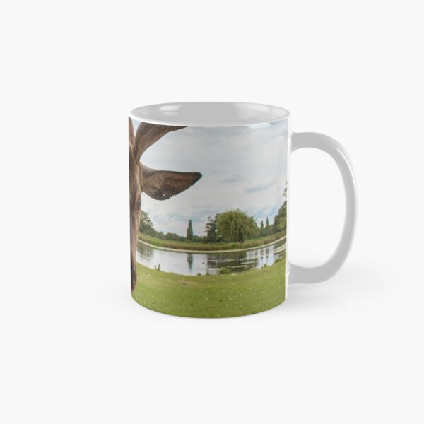Item preview, Curiosity designed and sold by lindsey partridge.