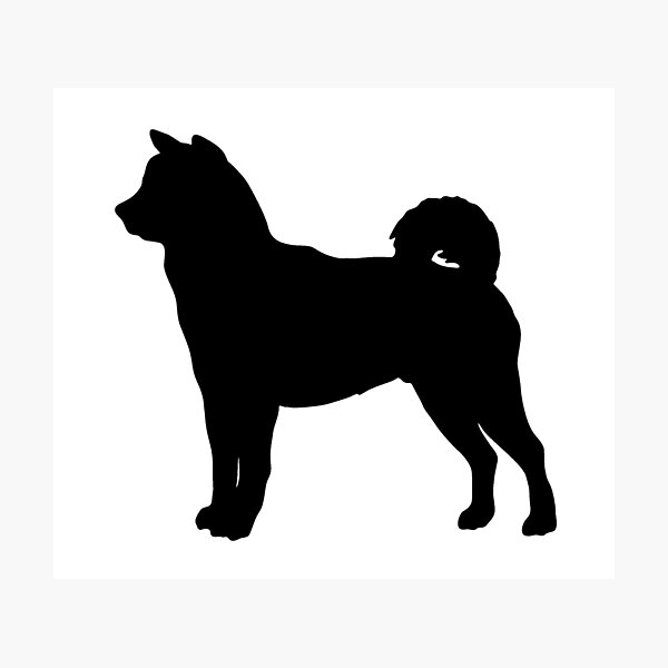 Item preview, Shiba Inu (grey) - DOGS0023 designed and sold by 3-Starfish.