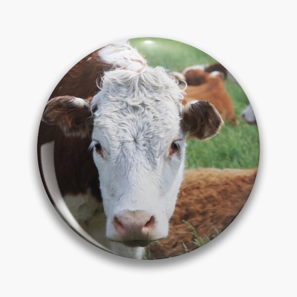 Item preview, Cows designed and sold by Alyce Taylor.