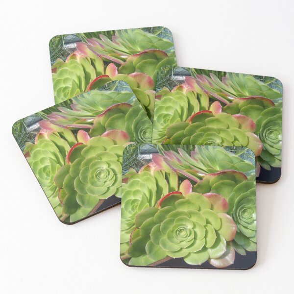 Item preview, plantlife designed and sold by pat946.
