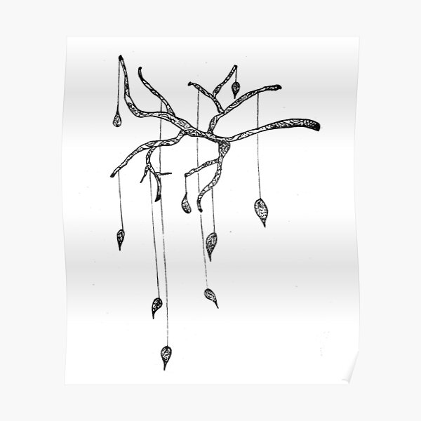 falling leaves Poster