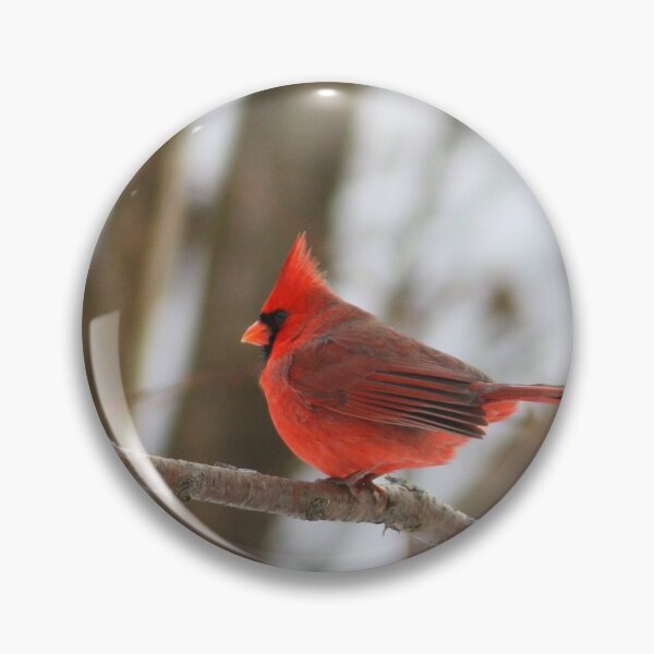 Item preview, Male Cardinal designed and sold by Alyce Taylor.