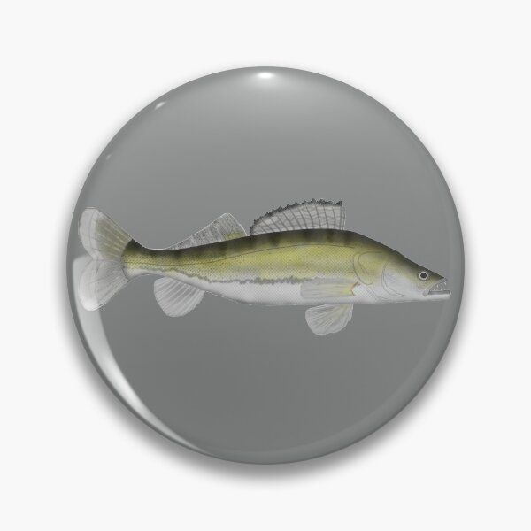 Item preview, Zander (Pike Perch) designed and sold by fishfolkart.