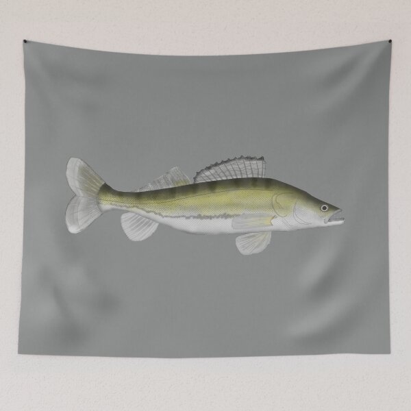 Item preview, Zander (Pike Perch) designed and sold by fishfolkart.