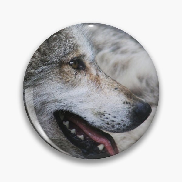 Item preview, Enjoying the Shade designed and sold by Alyce Taylor.