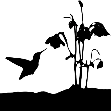 Artwork thumbnail, Humming Bird by ROPATROKOLA