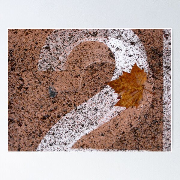 Item preview, 4/5 after the fall designed and sold by Evelyn Bach.