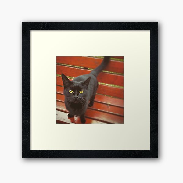 Item preview, yellow eyes designed and sold by HalinaJ.