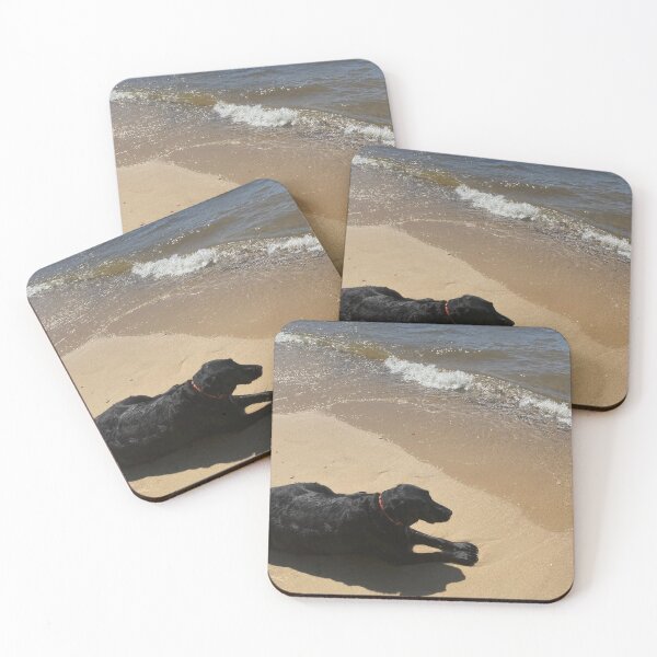 Item preview, Black Dog on the Beach designed and sold by Delaneymaybe.