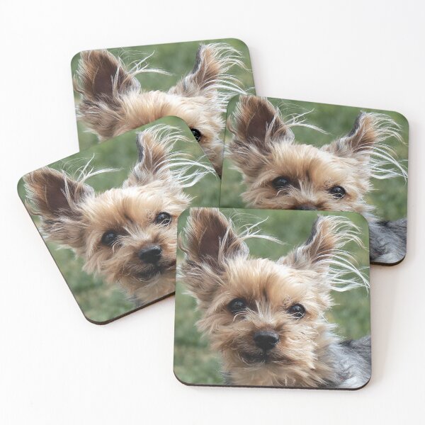 Item preview, Lucy designed and sold by Alyce Taylor.