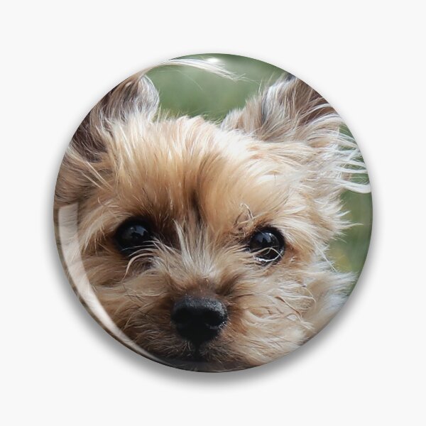 Item preview, Lucy designed and sold by Alyce Taylor.