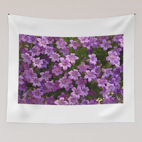 Item preview, Campanula in bloom designed and sold by annalisa56.