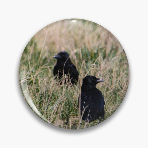 Item preview, crows designed and sold by Perggals© - Stacey Turner.