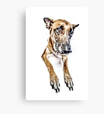 Do you looooove me? Canvas Print