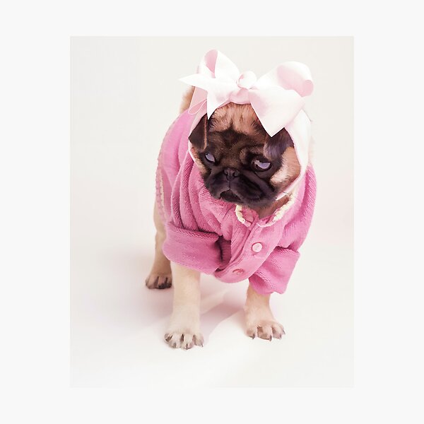 Pretty In Pink Photographic Print