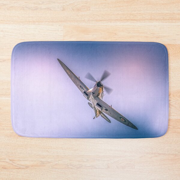 Item preview, The iconic Spitfire designed and sold by Gary Osborne.