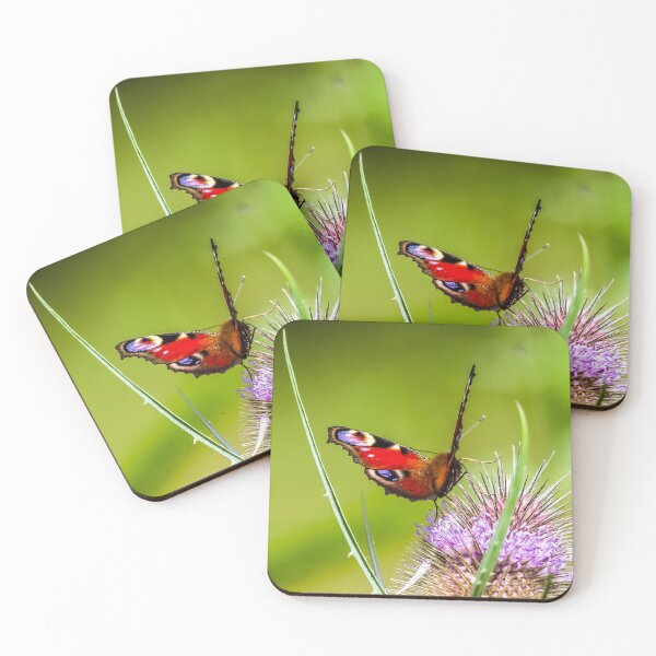 Item preview, A gorgeous Peacock butterfly sunning itself. designed and sold by Gary Osborne.