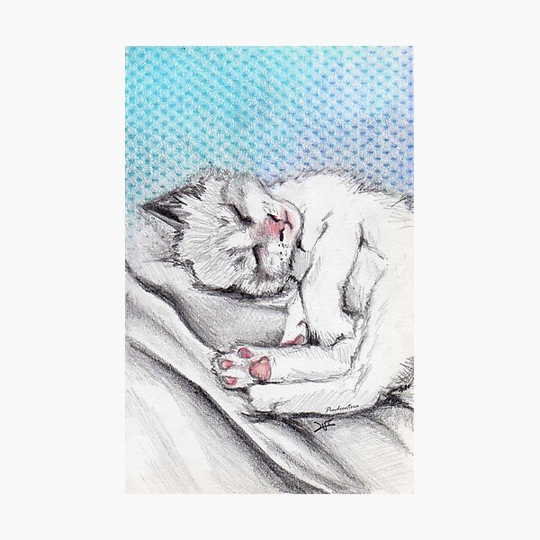 Vista previa del artículo con la obra «Gato durmiendo», diseñado y vendido por Pendientera.