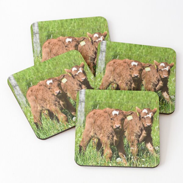 Item preview, Calves on Eifel meadows designed and sold by Glineur.