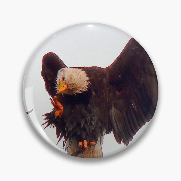 Item preview, What Am I Doing? designed and sold by Gail Bridger.