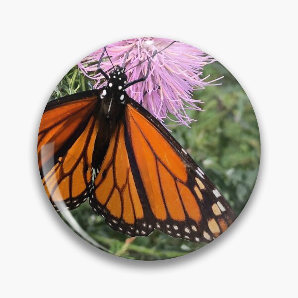 Item preview, Monarch Butterfly designed and sold by BigAl3D.