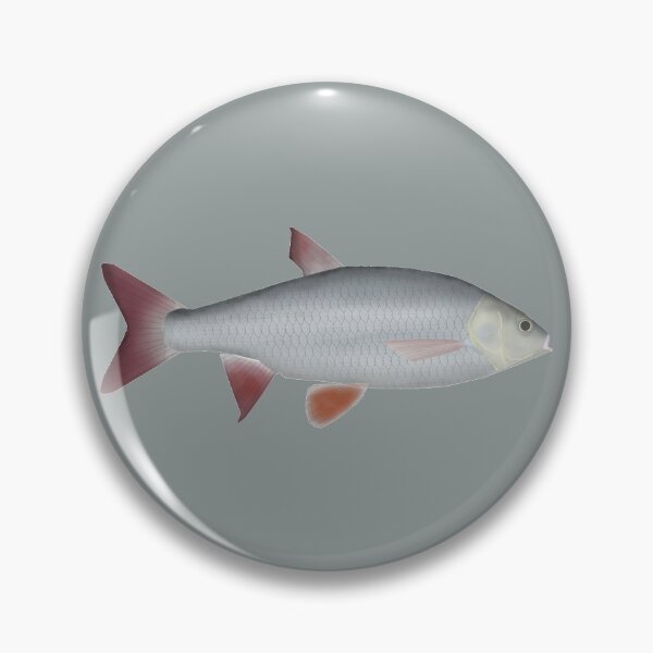 Item preview, Ide (Orfe) designed and sold by fishfolkart.