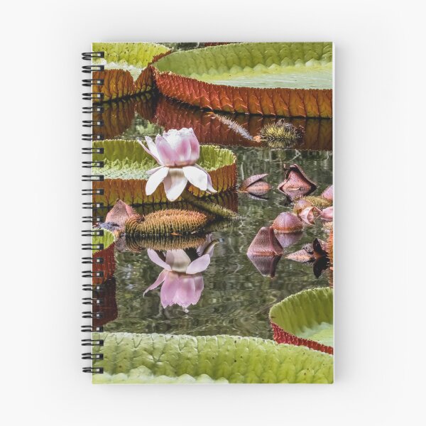 Item preview, Flower Of Victoria Cruziana designed and sold by Zina Stromberg.